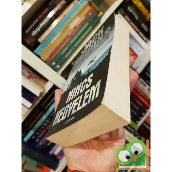 Jack Higgins: Nincs kegyelem (Sean Dillon 13.)