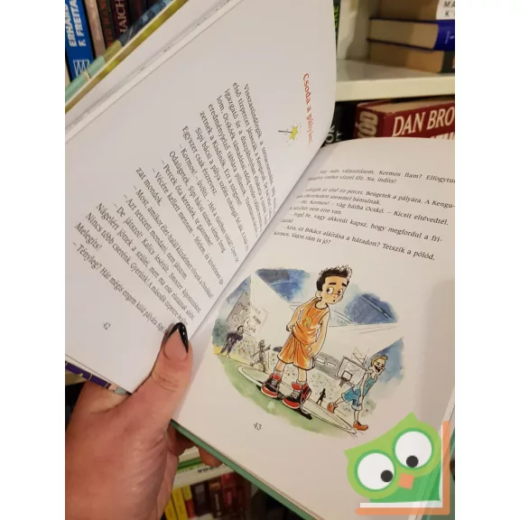 Nógrádi Gergely: A csodakosaras