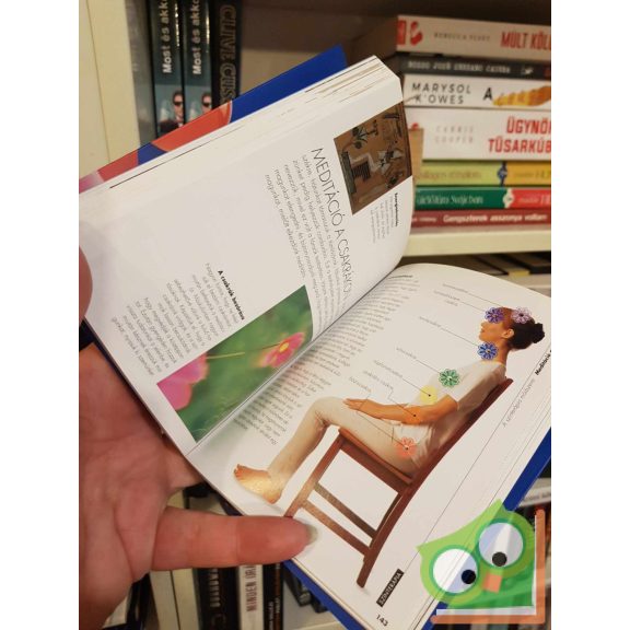 Stephanie Norris: Színterápia (Titkok nélkül)