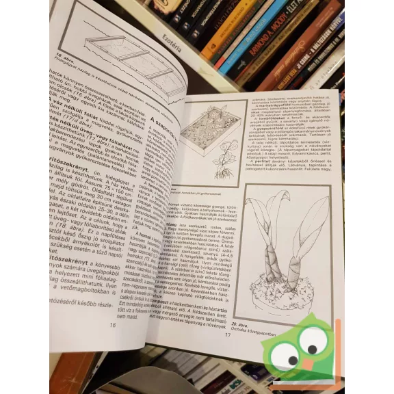 Czáka Sarolta - Füstös Zsuzsanna - Hrotkó Károly: A növényszaporítás ábécéje