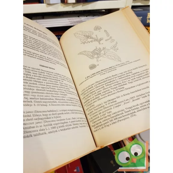 Berényi Géza, Szabó Lajos: Növénytermesztés a trópusokon-szubtrópusokon