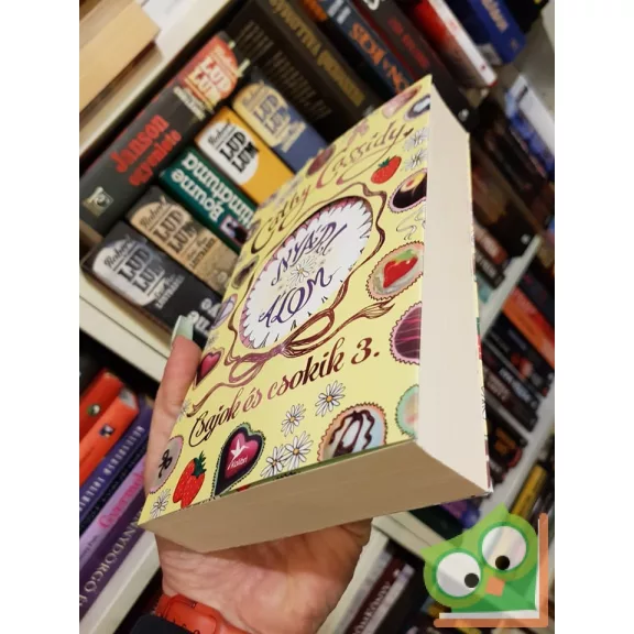 Cathy Cassidy: Nyári álom Summer története