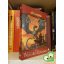 Margaret Weis, Tracy Hickman: A nyári tűz sárkányai (Dragonlance)