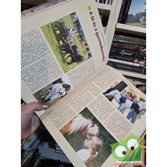 Pataki Balázs, Novotni Péter: Nyeregben és bakon