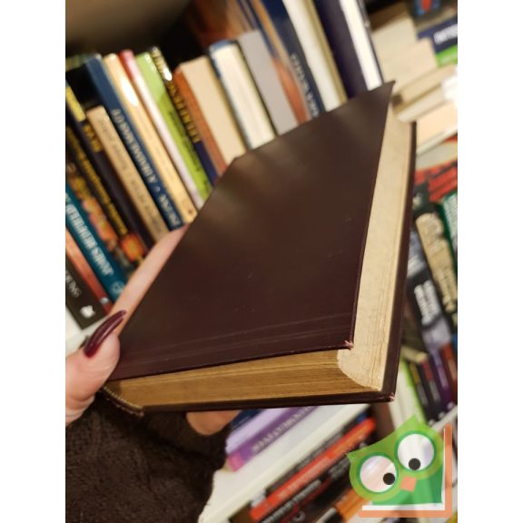 Vámbéry Ármin: A Nyugot kultúrája Keleten  (Ritka!)