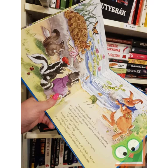 A nyúl és a teknős (Tanulságos történetek)