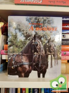 Dr. Ócsag Imre: A nóniusz