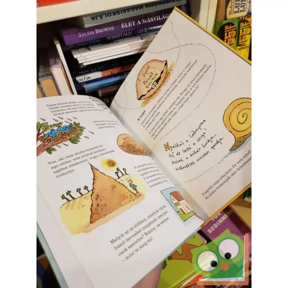 Fred Ehrlich: Olyan nincs, hogy a víziló házat építsen!