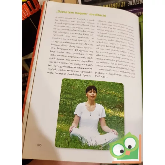 Berend Róbert, Fabók Ágnes: Önfejlesztés chi kunggal (CD nélkül)