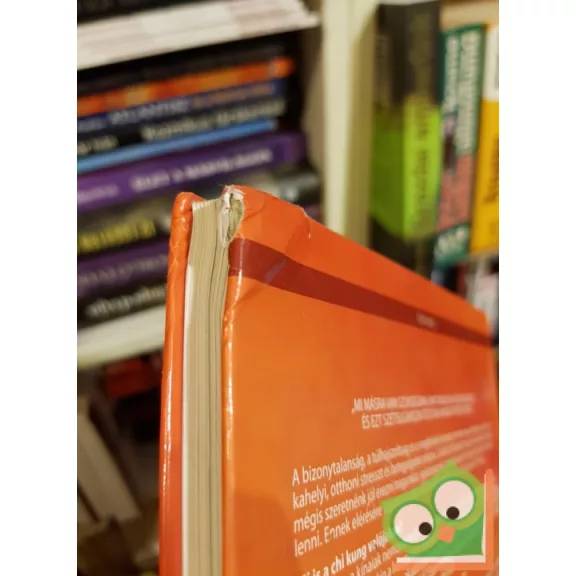 Berend Róbert, Fabók Ágnes: Önfejlesztés chi kunggal (CD nélkül)