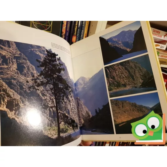 Bill Harris: Oregon - A Picture Memory