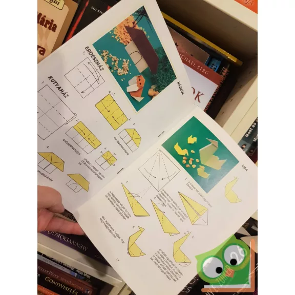 Fábián Zsolt: Papírhajtogatás alapfokon (Origami 1.)