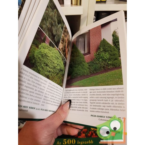 Orlóci László Örökzöldek és fenyők