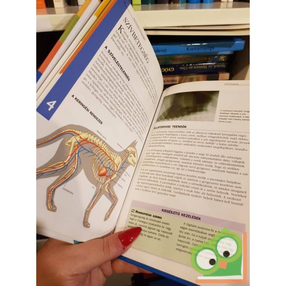 Carol Osborne: Kutyabetegségek - megelőzés, felismerés, gyógyítás