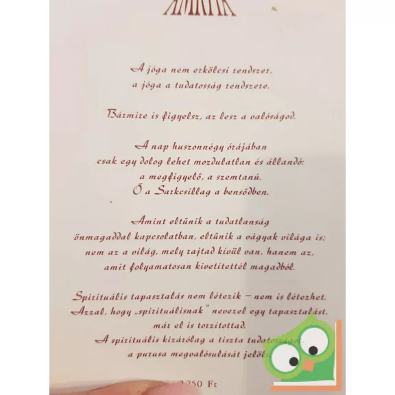 Osho: Jóga - Túl téren, időn és vágyakon (ritka)