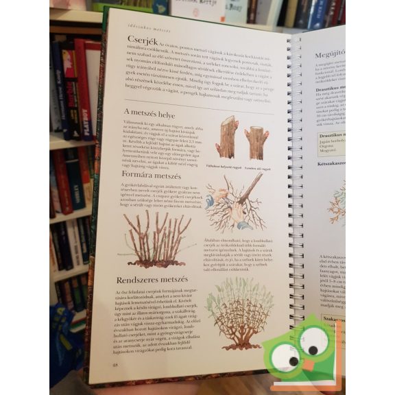 Steven Bradley: Ősz a kertben