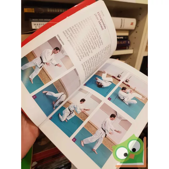 Osztafin Attila: Aikido (Fitten & Egészségesen) (ritka)