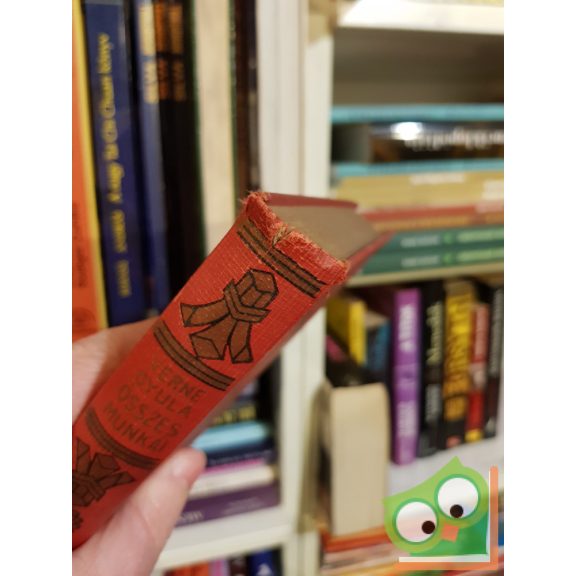 Jules Verne: Öt hét léghajón