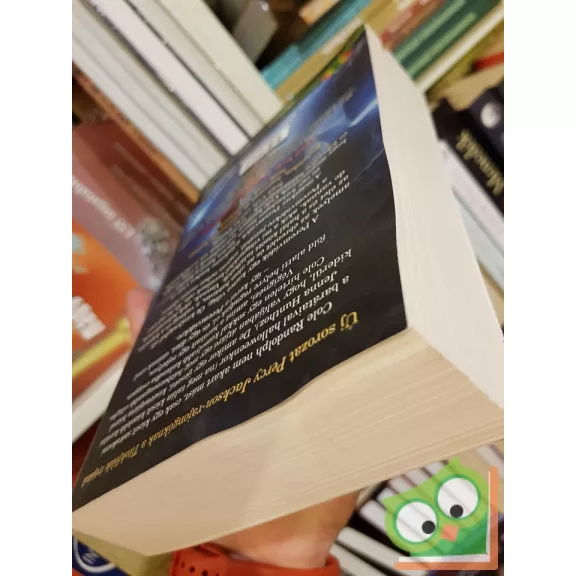 Brandon Mull: Égi fosztogatók (Öt királyság 1.)