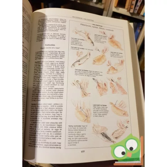 Ötletek, jó tanácsok, megoldások bármire (Reader's Digest válogatás)