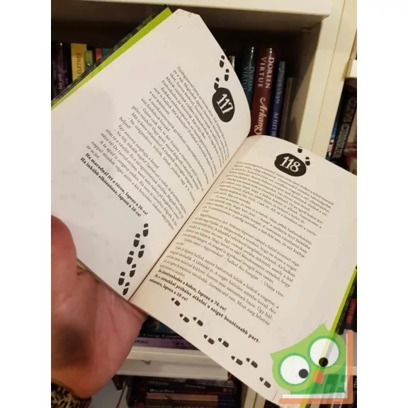 Nagy Ádám - Trencsényi László - Veszprémi Attila: A Pál utcai küldetés (lapozgatós könyv)