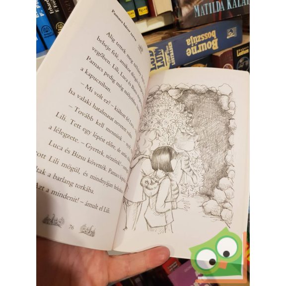 Daisy Meadows: Pamacs bátor terve (Varázslatos Állatbirodalom 5.)