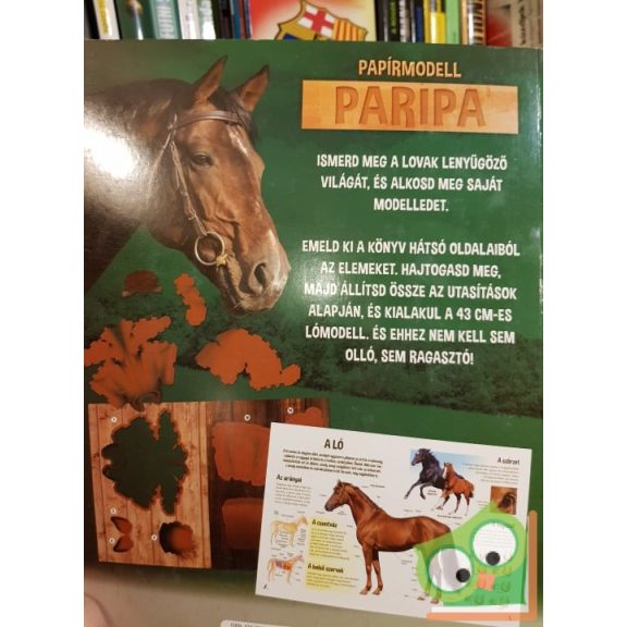 Papírmodell - Paripa