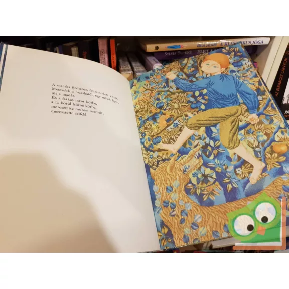 Hajnal Gabriella: Péter és a farkas