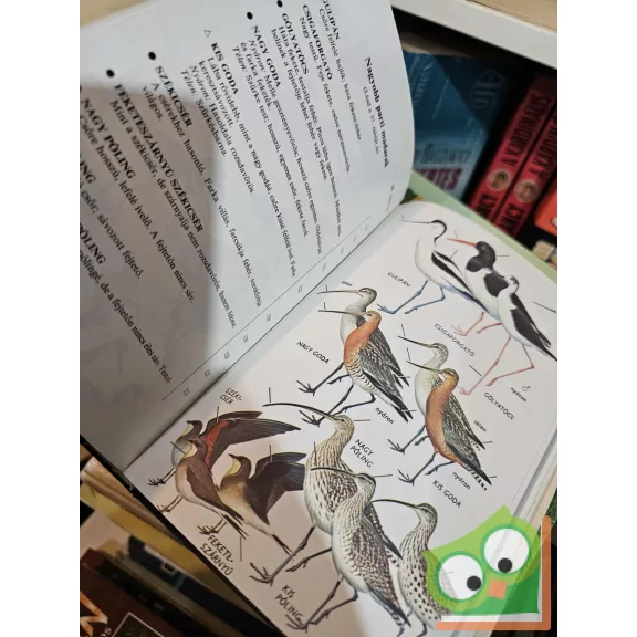 R. T. Peterson - G. Mountfort - P. A. D. Hollom: Európa madarai