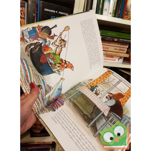 Sven Nordqvist: Pettson horgászni megy (Pettson és Findusz)