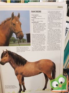 Jane Kidd: Pferde Rassen - Zucht - Ausbildung