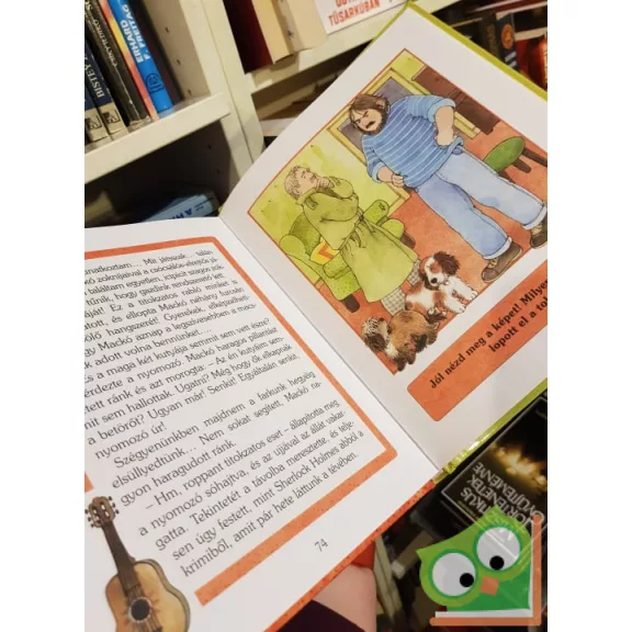 Mario Covi: Picur kalandjai