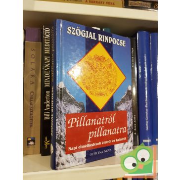 Szögjal Rinpocse: Pillanatról pillanatra