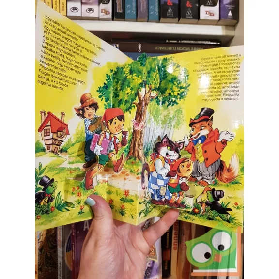 Pinocchio kalandjai  (Térbeli mesekönyv)