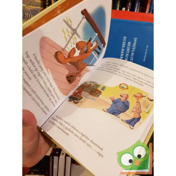 Plútó és a tenger (arany Disney) (ritka)