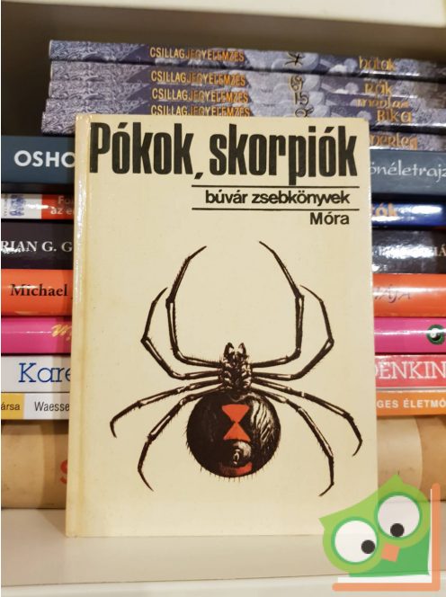 Szalkay József: Pókok, skorpiók (Búvár zsebkönyvek)