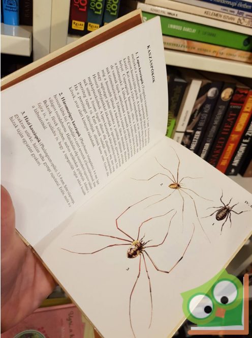 Szalkay József: Pókok, skorpiók (Búvár zsebkönyvek)