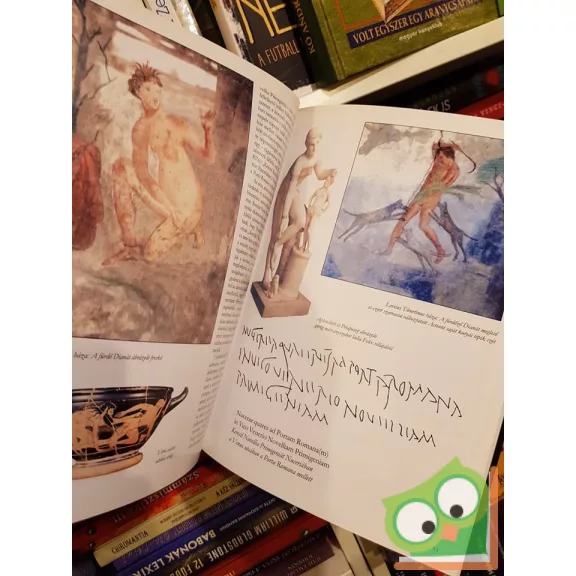 Francesco Paolo Maulucci Vivolo: Pompeji erotikus falfirkák