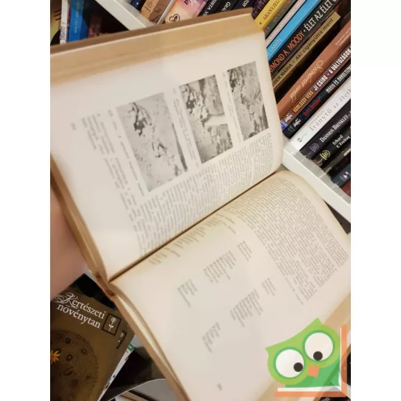 Probocskai Endre: Faiskola