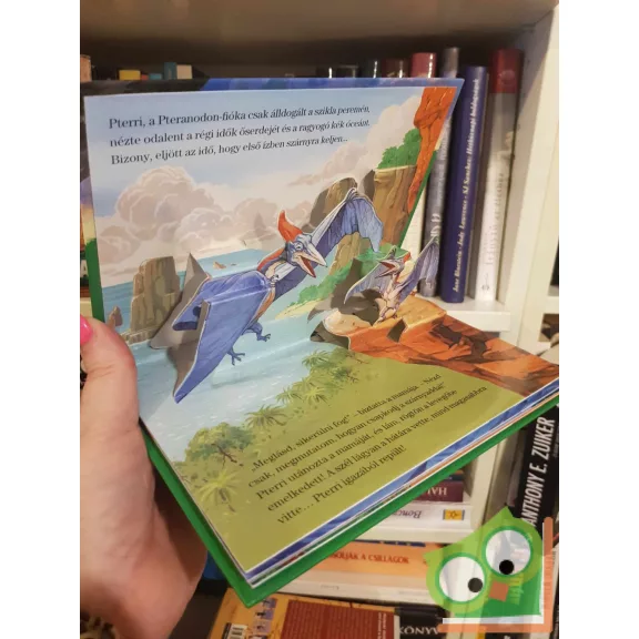 John Patience: Pterri első repülése (keménylapos)