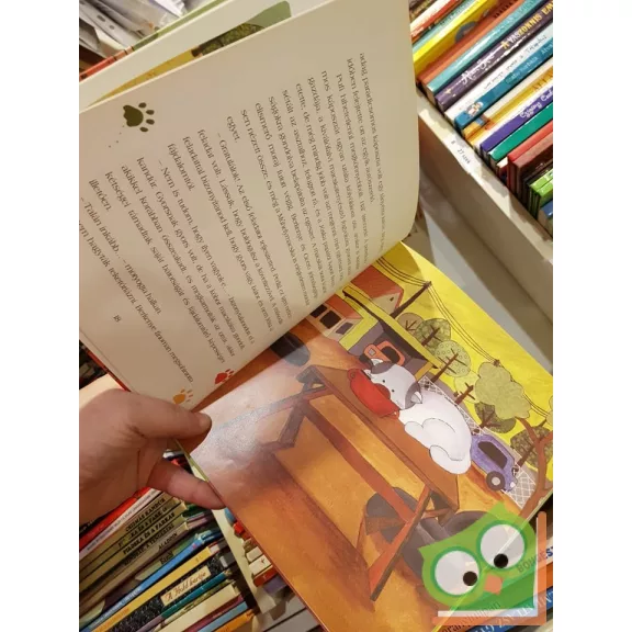 Lőrincz Judit Lívia: Pufi kandúr és a bitang banda