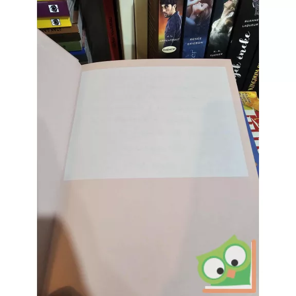 Dan Höjer, Gunilla Kvarnström: Kis puncikönyv