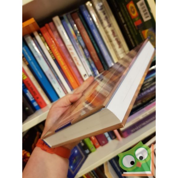 Andrew Ramer: Az ​angyalok tudják a választ