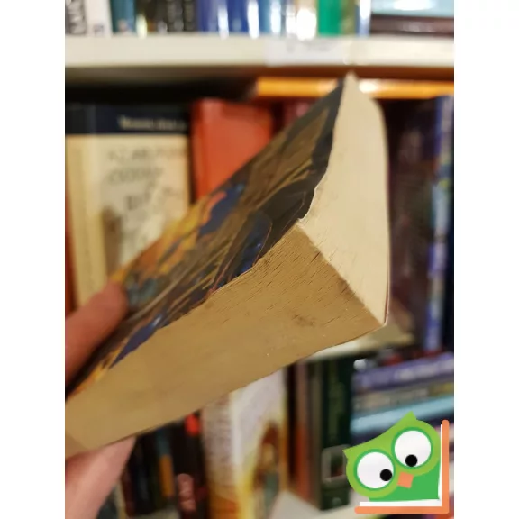 Terry Pratchett: Reaper Man (Discworld 11.) (Death 2.)    