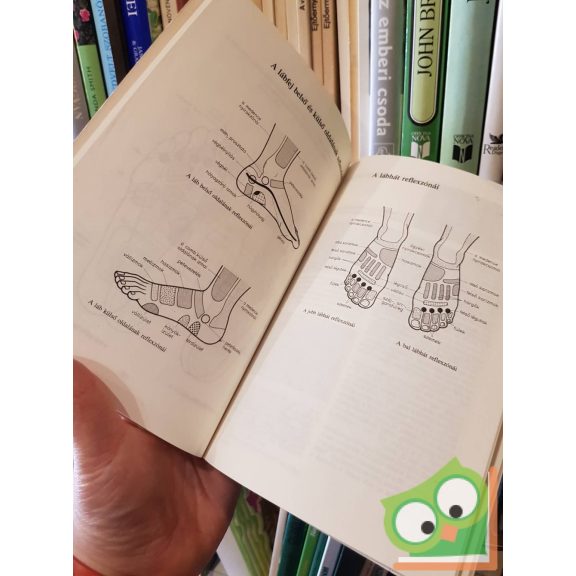 Franz Dr. Wagner: Reflexzóna-masszázs mindenkinek