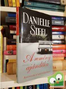   Danielle Steel: A remény ajándéka - Angyalok a nagyvárosban (nagyon ritka)