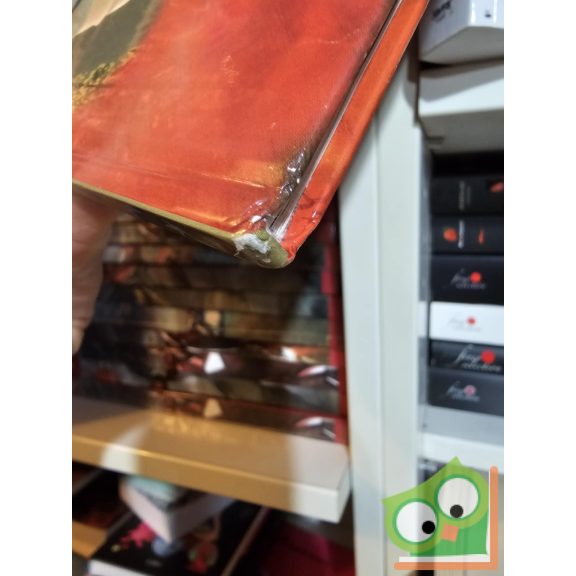 Walt Disney - Repcsik 2. - A mentőalakulat