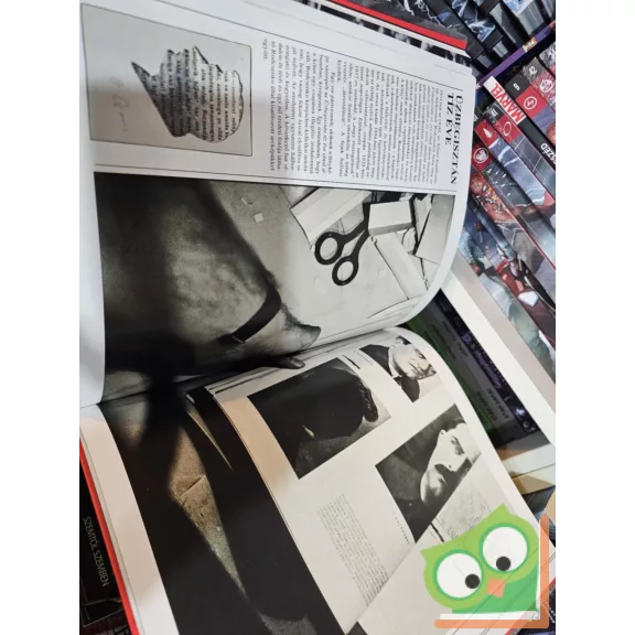 David King: Retusált történelem