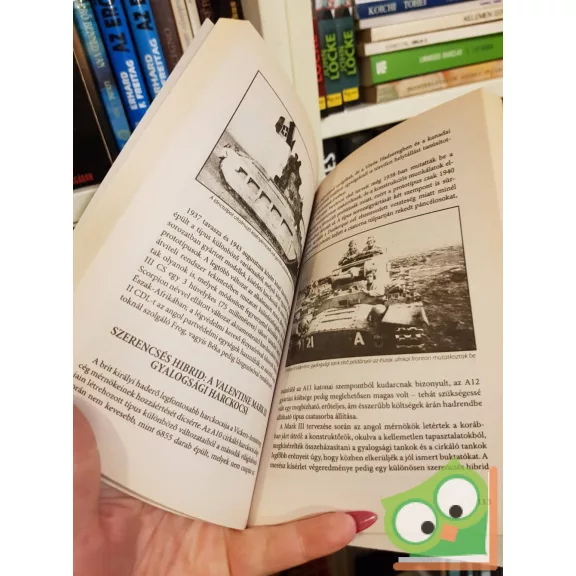 Kurt Rieder: A II. világháború páncélosai - Típusleírás