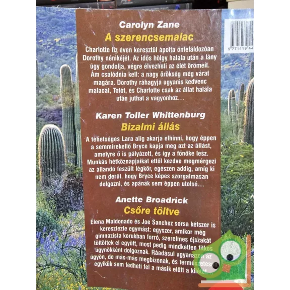 Romana különszám 2004/5